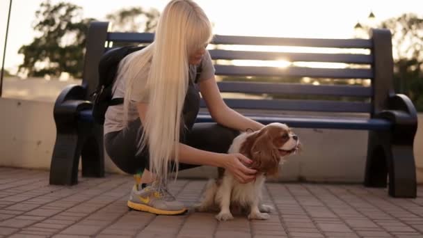 Visão de perto da mulher loira de cabelos longos em leggings escuros e mochila preta agachamento, acariciando o spaniel perto do banco de rua. Ao ar livre. Sol brilha no fundo — Vídeo de Stock