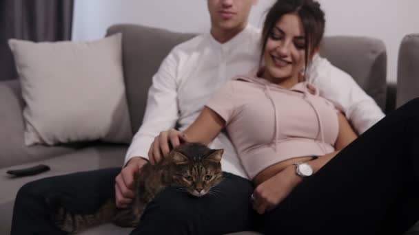 Όμορφο νεαρό ζευγάρι με γάτα τους στον καναπέ του σαλονιού τους. Νεαρός άνδρας και γυναίκα χαϊδεύει το κατοικίδιο ζώο τους — Αρχείο Βίντεο