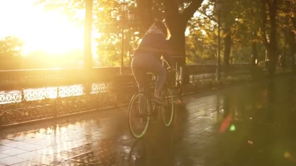 Visão traseira de uma mulher bonita andando de bicicleta no parque da manhã ou avenida com um asfalto molhado. Uma jovem mulher de jeans azul montando uma bicicleta de trekking enquanto a cidade está vazia. Sinalizadores de lente — Vídeo de Stock