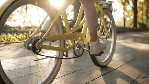 自転車で舗装道を歩く女性の顔のない足を閉じる側ビュー アクティブなライフ スタイルを。女は、街路や緑の公園のビンテージ バイクと合います。健康的な生活の夏のアウトドア活動 — ストック動画