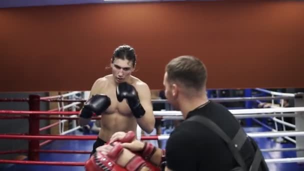 Kickboxtraining mit Trainer in Boxpfoten, mit Boxhandschuhen. Vorbereitung auf den Wettbewerb. Schweißgesicht, hemdsloses Training im Fitnessstudio — Stockvideo