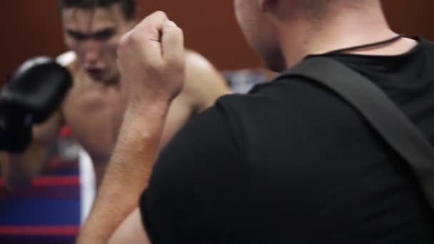 Un primer plano de un joven hombre de aspecto europeo en pantalones cortos deportivos negros con un torso de serpiente y en los trenes de guantes de boxeo en el ring con su entrenador, cumple golpes toprotected torso. El concepto de deporte, los hombres — Vídeo de stock