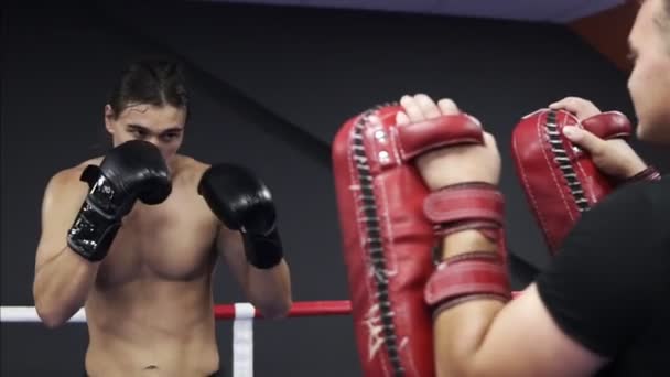 Entrenamiento agresivo de kickboxer con entrenador en patas de boxeo, usando guantes de boxeo. Preparándose para la competencia. Cara de sudor, entrenamiento sin camisa en el gimnasio, trabajo duro — Vídeo de stock