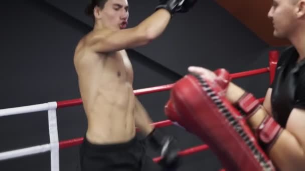 Ein kaukasischer Mann in schwarzen Hemden, der im Fitnessstudio trainiert. junge msn trainieren seine Beine, indem sie mit Pfoten arbeiten, schlagen. Boxring — Stockvideo