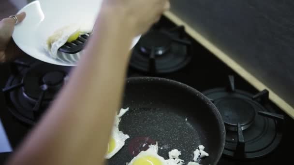 Las manos de una mujer ponen los huevos fritos de la sartén caliente en el plato blanco. Desayuno tardío en casa. Vista de cerca — Vídeo de stock