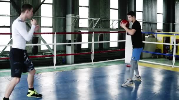 Des hommes caucasiens qui se lancent des médicaments en se frappant. Deux jeunes boxeurs s'entraînent le haut du corps et les bras. Exercices d'entraînement ensemble. Entraînement transversal sur ring de boxe au gymnase — Video