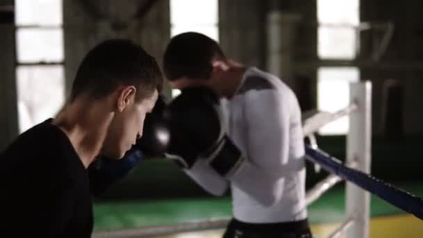 Training, Sparring auf dem Boxring im Fitnessstudio zweier junger Boxpartner, Praxis Schlagtechnik, Rack. der Kerl drückte seinen Gegner in die Ecke und attackiert ihn weiterhin mit Schlägen. Zeitlupe — Stockvideo