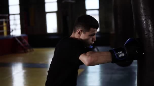 El guapo boxeador golpea la bolsa pesada mientras usa guantes negros. Deporte, fondo anillo de boxeo — Vídeos de Stock
