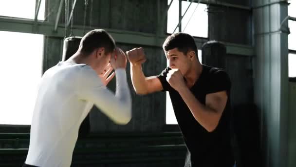 Dois pugilistas habilmente trabalhar para fora socos. Tímido longe de golpes protegendo o rosto. Treinamento de boxe juntos em estilo antigo gy. sacos de boxe no fundo — Vídeo de Stock