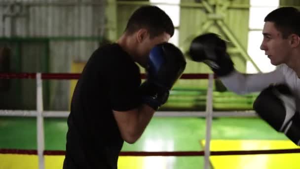 Les jeunes boxeurs masculins sur le ring en vêtements décontractés accomplissent des coups de poing les uns avec les autres et des façons de sauter des coups. Les hommes forment les grèves, la protection et les réactions. Mouvement lent — Video