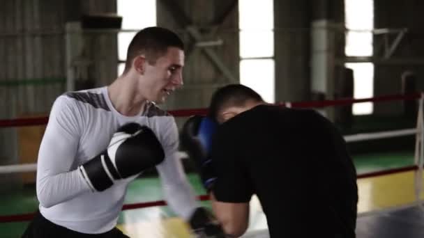 Sparring Training Von Zwei Jungen Boxerpartnern Ring Training Von Schlagtechnik — Stockvideo