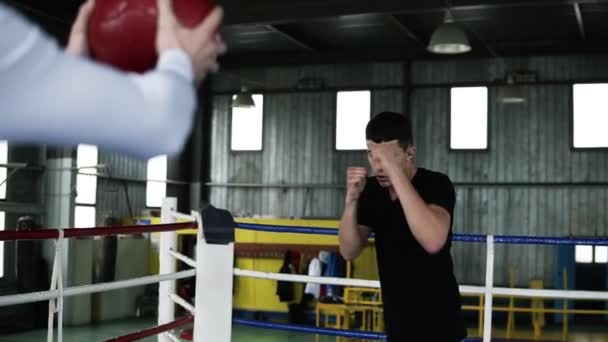 Motivierter, junger Boxer in lässiger Kleidung trainiert mit Trainer im Ring. Blick von hinten auf den Trainer, der einen schweren Ball hält, während er Schläge und Taktikschritte übt. Fitnessstudio im alten Stil auf der — Stockvideo