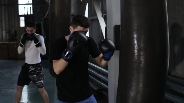 Dos boxeadores masculinos con ropa casual están golpeando a la pera negra. Trabajo duro, proceso de entrenamiento en el boxeo gimnasio. Vista lateral — Vídeos de Stock