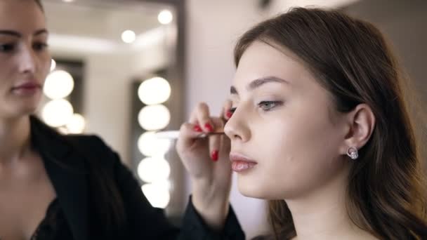 Primer plano de la mujer morena aplicando cosméticos en los pómulos con un cepillo de maquillaje. Chica en el maquillaje del salón, aplicar polvo en la piel, fundación o tóner. Imágenes aceleradas — Vídeos de Stock