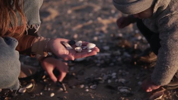 Pequeño niño con ropa gris y madre están pasando tiempo juntos y buscando, recogiendo y recogiendo conchas marinas en la playa de arena junto al mar. Buen tiempo. Primer plano de las imágenes — Vídeos de Stock