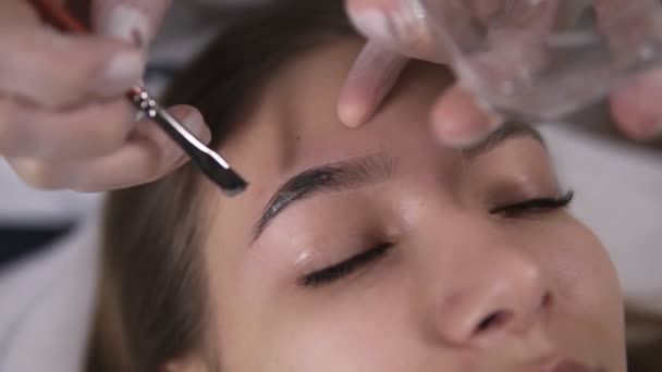 Esthetician stosuje farby na brwi młodej kobiety przez brązowy barwnik, procedura kolorowania w Studio urody, zbliżenie — Wideo stockowe