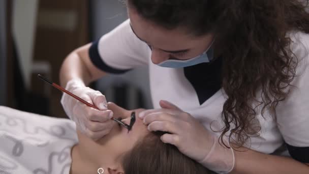 Maestro de belleza profesional en el gabinete está aplicando suavemente pinturas en las cejas de la mujer joven por tinte marrón, procedimiento de coloración en un estudio de belleza. En cámara lenta. De cerca. — Vídeo de stock