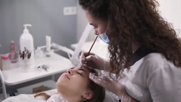 专业美容柜的美容师正在用棕色染料在年轻女性的眉毛上涂上油漆，在美容工作室进行着色程序。慢动作。侧视图 — 图库视频影像