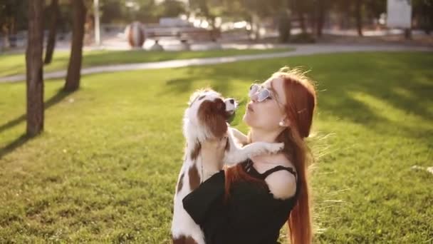Joven mujer con estilo en gafas de sol sentado en el césped verde en el parque de la ciudad con un perro. Sostiene una mascota en sus brazos, mirándolo. El sol brilla en el fondo. Hora de verano — Vídeos de Stock