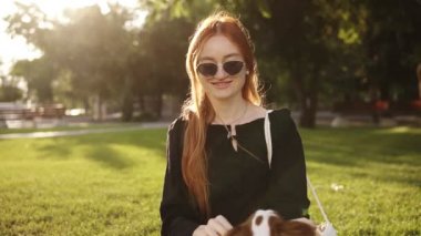 Siyah elbise ve güneş gözlüğü güzel kırmızı başlı kadın çim üzerinde oturan ve onu spaniel köpek ile oynarken. Mutlu zaman ve zevk. Sahibi güzel küçük köpek açık havada. Arka planda güneş ve yeşil