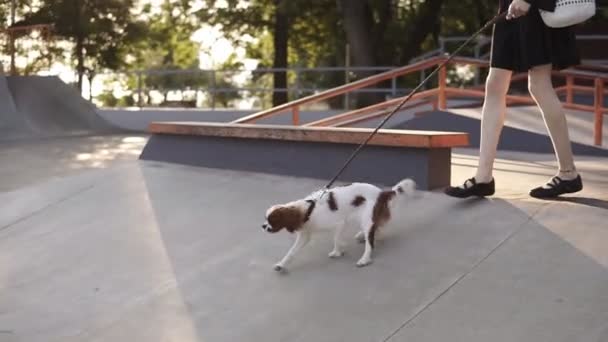 Skinny, menina caucasiana andando de skate vazio com seu cão amoroso. Movimento lento de menina bonita em vestido preto andando cão de raça pura no parque da cidade e sorrindo — Vídeo de Stock