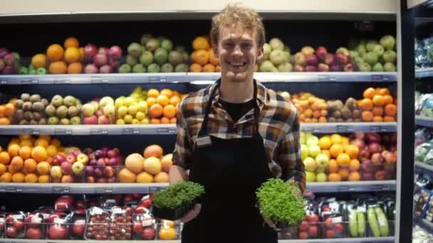 Ritratto del giovane affascinante operaio caucasico nel grembiule in piedi di fronte alla telecamera e sorridente gioiosamente mentre tiene verdi al supermercato grossolano. Pannello ortofrutticolo — Video Stock