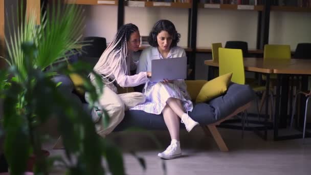 Twee stijlvolle, gefocuste vriendinnen die samen op een grijze en gele bank zitten met één laptop, studerend of bladerend door de smth. Twee studenten die op afstand werken in de moderne bibliotheek — Stockvideo