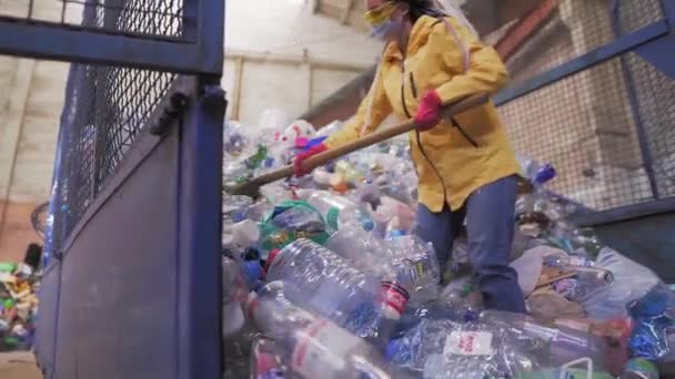 Imágenes de una joven con chaqueta amarilla y guantes usando palas de botellas de plástico usadas en la fábrica de reciclaje. Gran pila de botellas dentro de la jaula de la caja del coche. Movimiento lento — Vídeo de stock