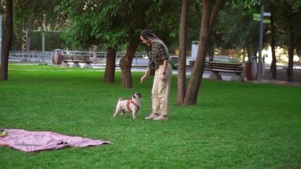 Jovem brincando com cachorro no parque, o cão está correndo, pulando, tentando pegar kickshaw — Vídeo de Stock