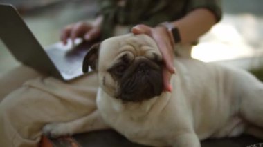 Dışarıda dizüstü bilgisayarıyla oturan korkunç saçlı kız ve yanında sevimli bir köpek oturuyor, avuç içi...