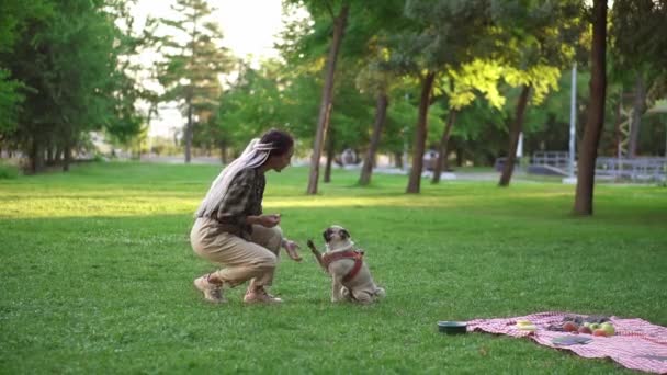 Eigenaar voedt huisdier buiten, het aanmoedigen van slimme hond voor een goede commando uitvoering met bot hond snack — Stockvideo