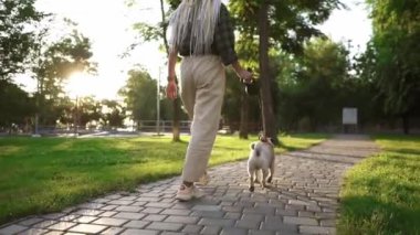Tasmasını kadın sahibinin taktığı parkta ender görülen bir boksör manzarası. Mercek fişekleri