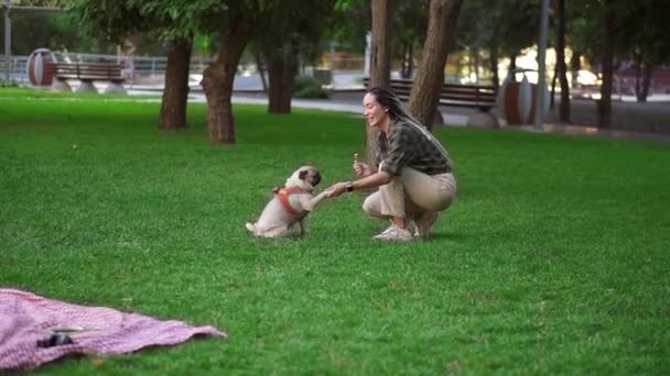 Eigenaar voedt huisdier buiten, stimuleert slimme hond voor een goede commando uitvoering — Stockvideo