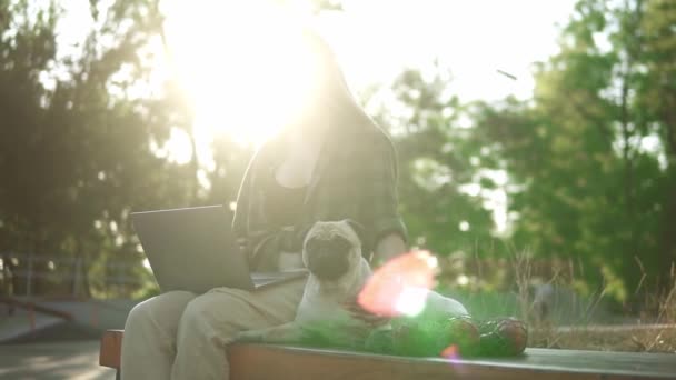 Een vrouw met een laptop zit op een balustrade in een skate park met haar hond pug. Lenzen vlammen op de achtergrond — Stockvideo