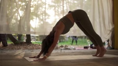 Zarif kadın ışıkla dolu ahşap kulübede yoga yapıyor, kız yoga yapıyor yan tahtada duruyor, geriniyor.