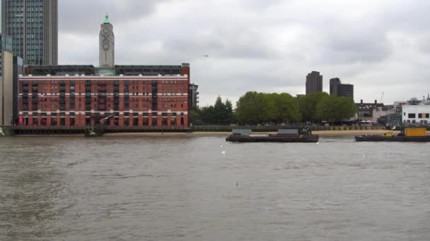 Ημέρα ώρα Λονδίνου ποταμού Τάμεσης, γλάροι πετούν, Oxo Tower. — Αρχείο Βίντεο