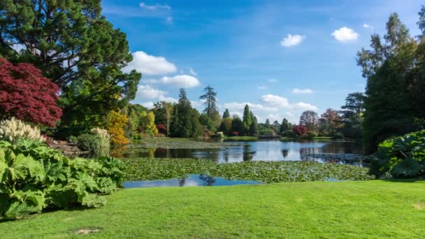 Podzimní krajina v Sheffield Park a zahrada. Uckfield, East Sussex, Anglie, Velká Británie — Stock video