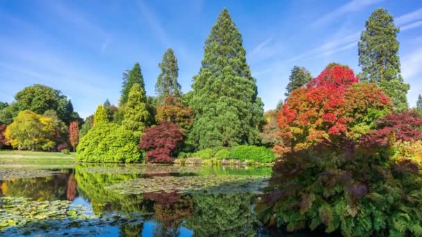 Podzimní krajina v Sheffield Park a zahrada. Uckfield, East Sussex, Anglie, Velká Británie. — Stock video