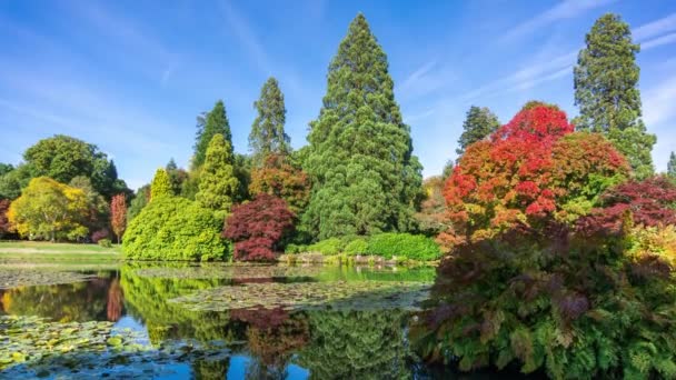 Sonbahar manzara Sheffield Park ve Bahçe. Uckfield, East Sussex, İngiltere, Birleşik Krallık. — Stok video