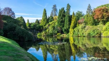 Sonbahar renkleri Sheffield Park Peyzaj Bahçe. Uckfield, East Sussex, İngiltere, Birleşik Krallık.