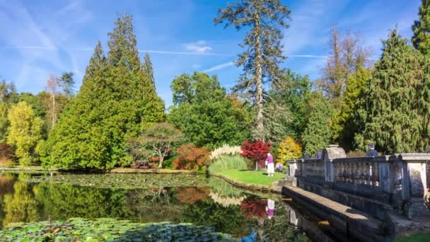 10 フィートの池とシェフィールド公園および庭の橋。ロンドン、イースト ・ サセックス、イングランド、英国 — ストック動画
