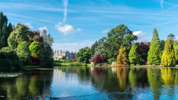 Třímetrovou rybník, Sheffield Park a zahrada, East Sussex, Anglie, Velká Británie. — Stock video