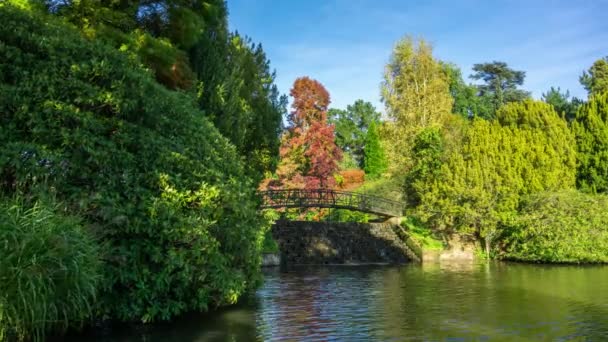Το Cascade γέφυρα, κάτω γυναικείο τρόπο λίμνη, Sheffield Park κήπους, Sussex, Αγγλία, Ηνωμένο Βασίλειο. — Αρχείο Βίντεο
