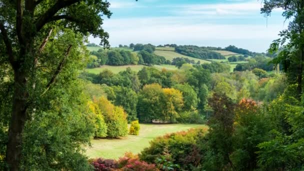 Winkworth Botanik Bahçesi, Surrey, İngiltere, İngiltere'de sonbahar renkleri — Stok video