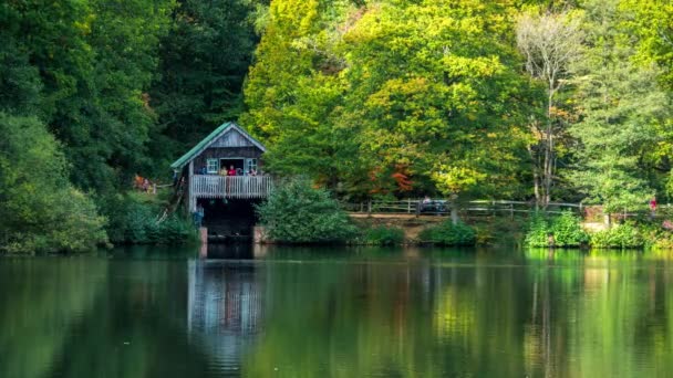 Bootshaus am Rande von ruwes flashe lake im winkworth arboretum, in surrey, england, uk — Stockvideo