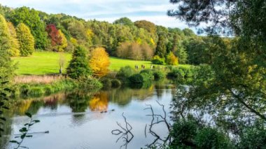 Rowes Flashe gölde Winkworth Arboretum, Surrey, İngiltere
