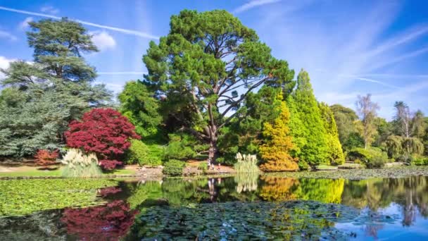 Jesienne kolory Sheffield Park krajobraz ogrodu. Uckfield, East Sussex, Anglia, Wielka Brytania — Wideo stockowe