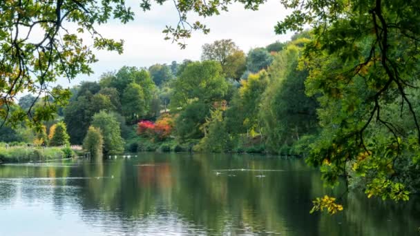 Rowes Flashe Lake em Winkworth Arboretum, em Surrey, Inglaterra, Reino Unido — Vídeo de Stock