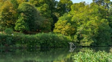 Rowes Flashe gölde Winkworth Arboretum, Surrey, İngiltere