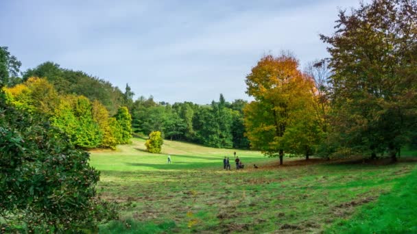 Herfst landschappen in Winkworth arboretum, in Surrey, Engeland, Uk — Stockvideo